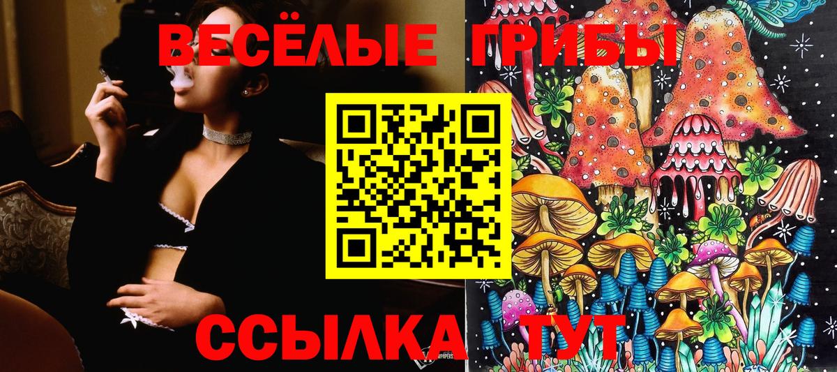 Галлюциногенные грибы Cubensis  Галлюциногенные грибы MAGIC MUSHROOMS  Вход с VPN  Кировск 